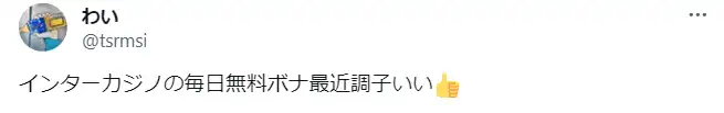 インターカジノ　口コミ評判　出金入金方法　ボーナス