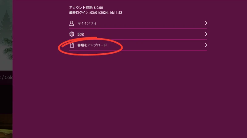 ラッキーニッキーの本人確認の詳細２