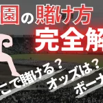 甲子園の賭け方について解説した記事のアイキャッチ画像