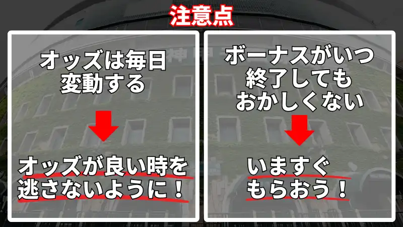 甲子園(高校野球)に賭ける際の注意点