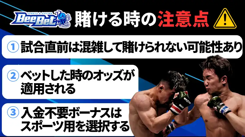 ビーベット　RIZIN　注意