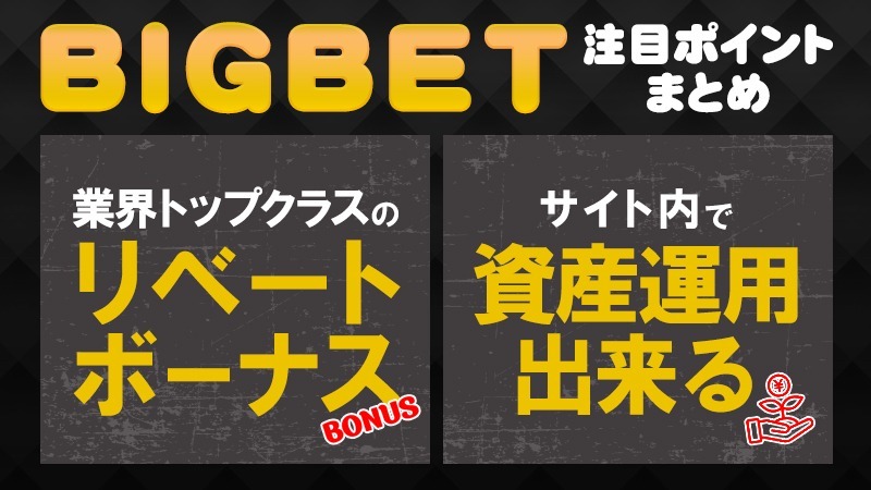 ビッグベットカジノ(bigbet casino) 注目ポイント