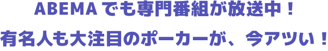 メインテキスト2